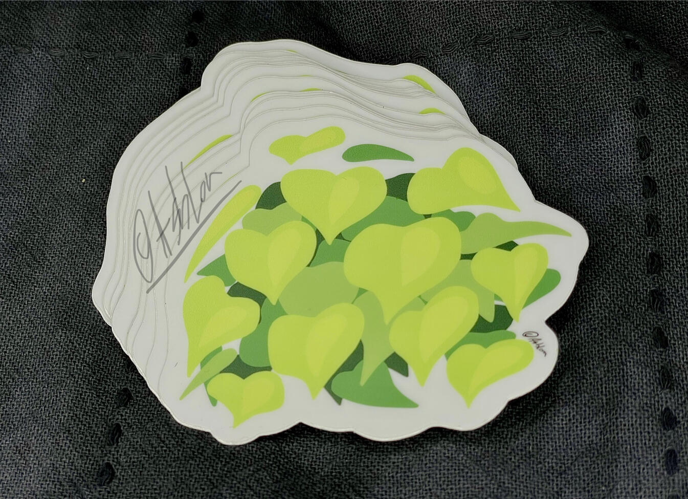 Neon Heart Philodendron